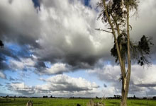 开云体育登录-卡尔蒂斯攻防转换加快，比赛节奏全面提升