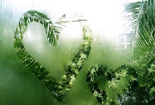 开云官网-帕尔梅拉斯攻防火力全开，防守迎挑战