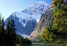 开云体育官网-紧张局势！冠军杯比赛进入关键时刻