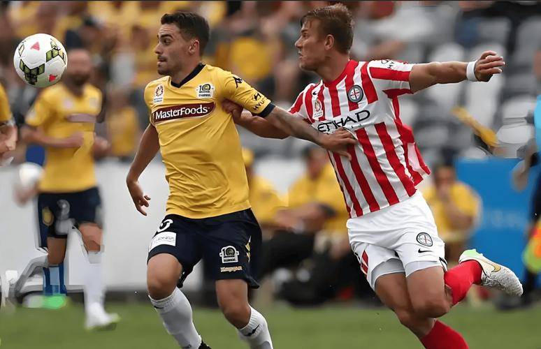 开云体育下载-包含保级压力，斯洛文尼亚面临生死考验的词条