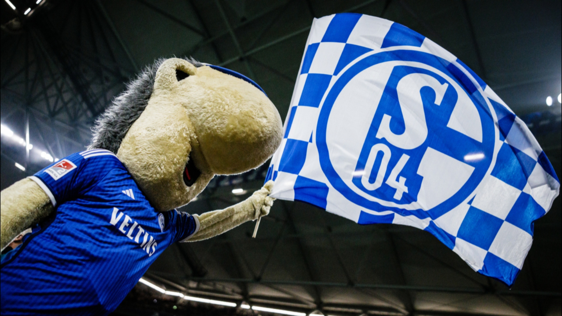 沙尔克队在客场赢得关键比赛