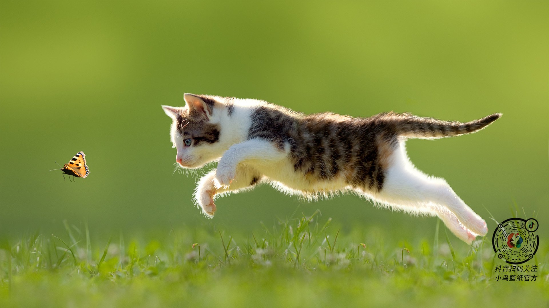 史诗夜，无人孤岛到奥运航灯，利拉德凭何一剑封喉救赎自我？