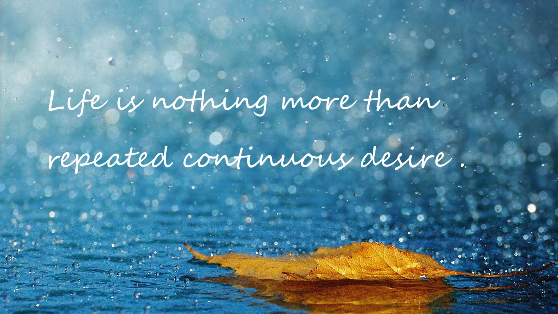 意甲焦点战，荷兰郁金香如何打穿韩国太极虎防线？