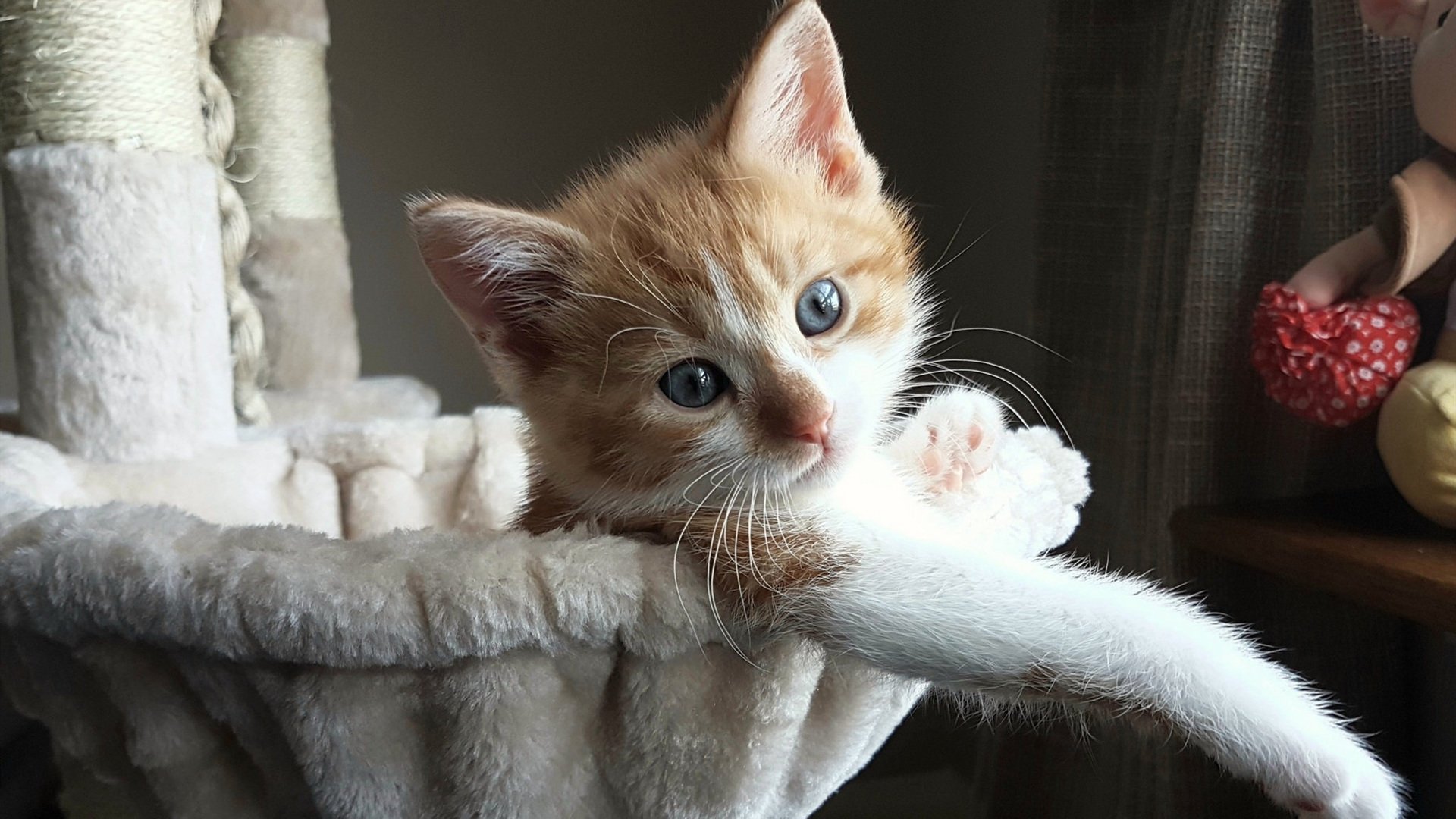 开云体育下载-广厦擒奇才锁定季后赛关键席位，霍勒迪末节16分诠释大心脏