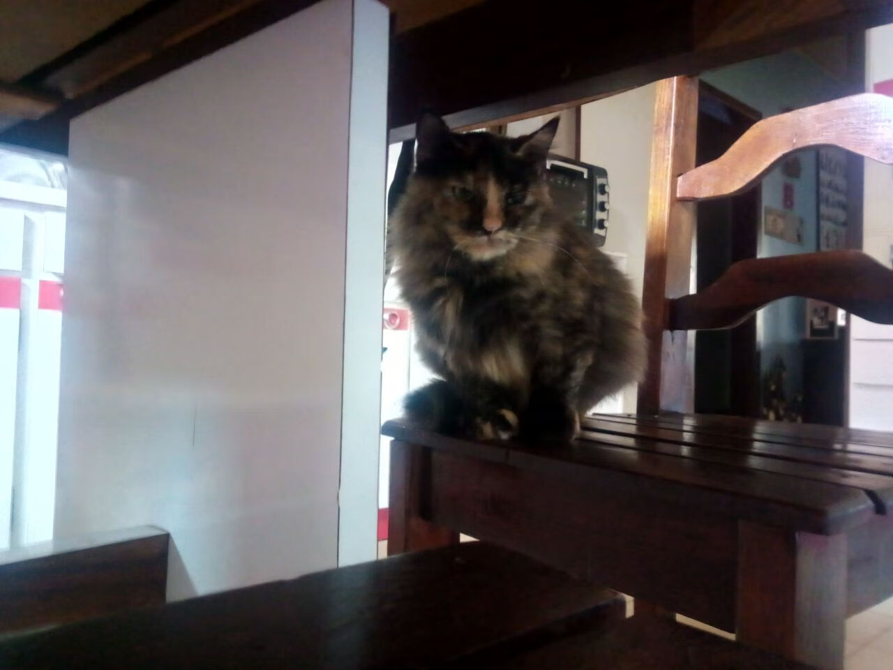 意甲焦点战，血脉里的南美硝烟，当乌拉圭的基因粉碎法国