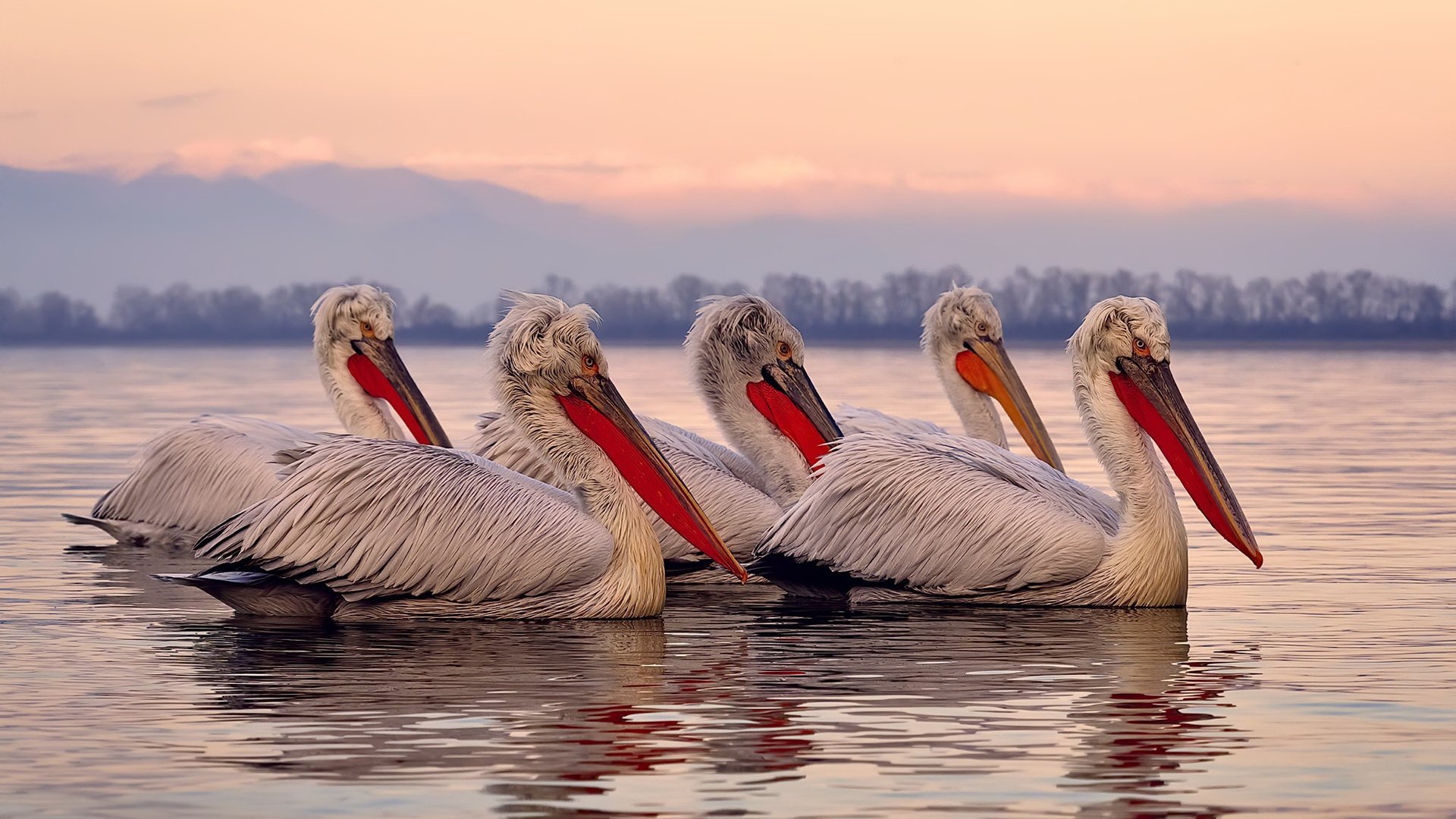 欧冠淘汰赛之夜，卡塞米罗存在感拉满，中场壁垒铸就传奇