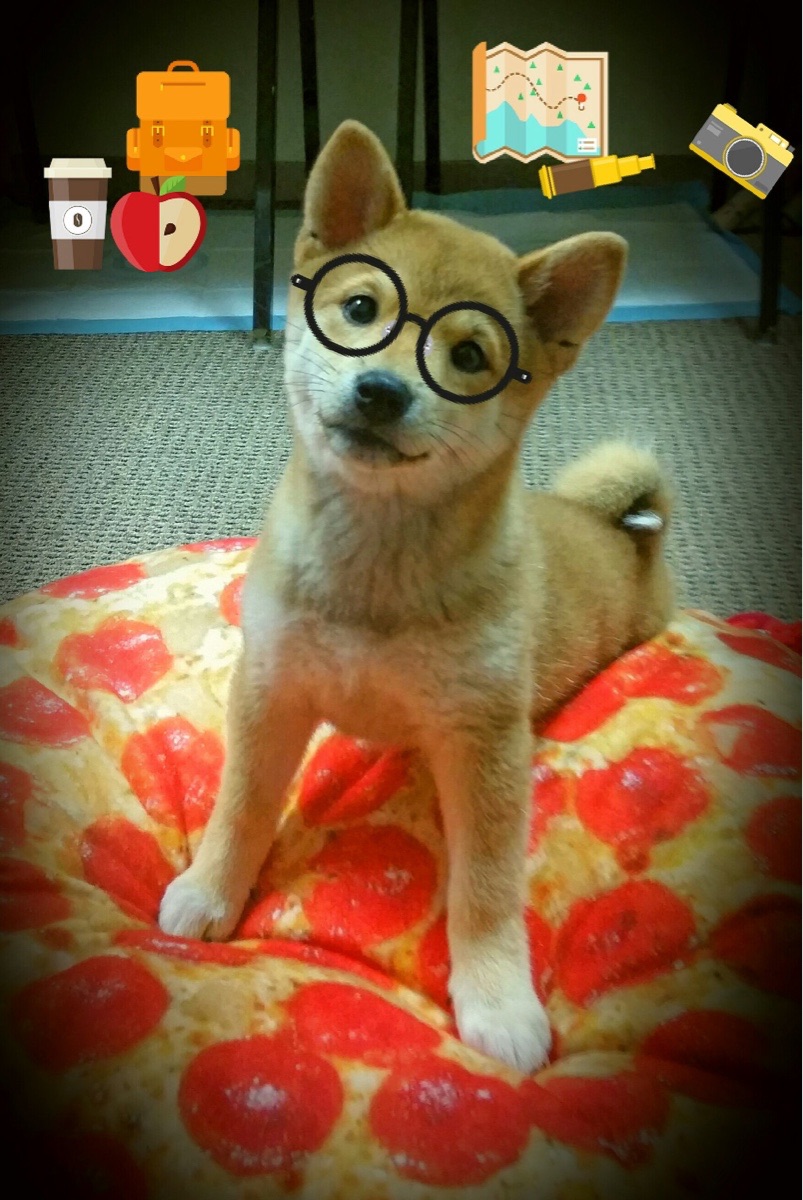 跨界烽烟，辽宁队正面击溃太阳，拉梅洛奥运前哨关键接管