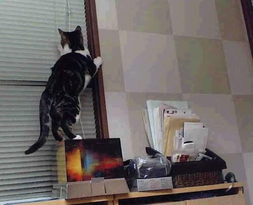 鏖战蓝桥，京多安于无声处听惊雷