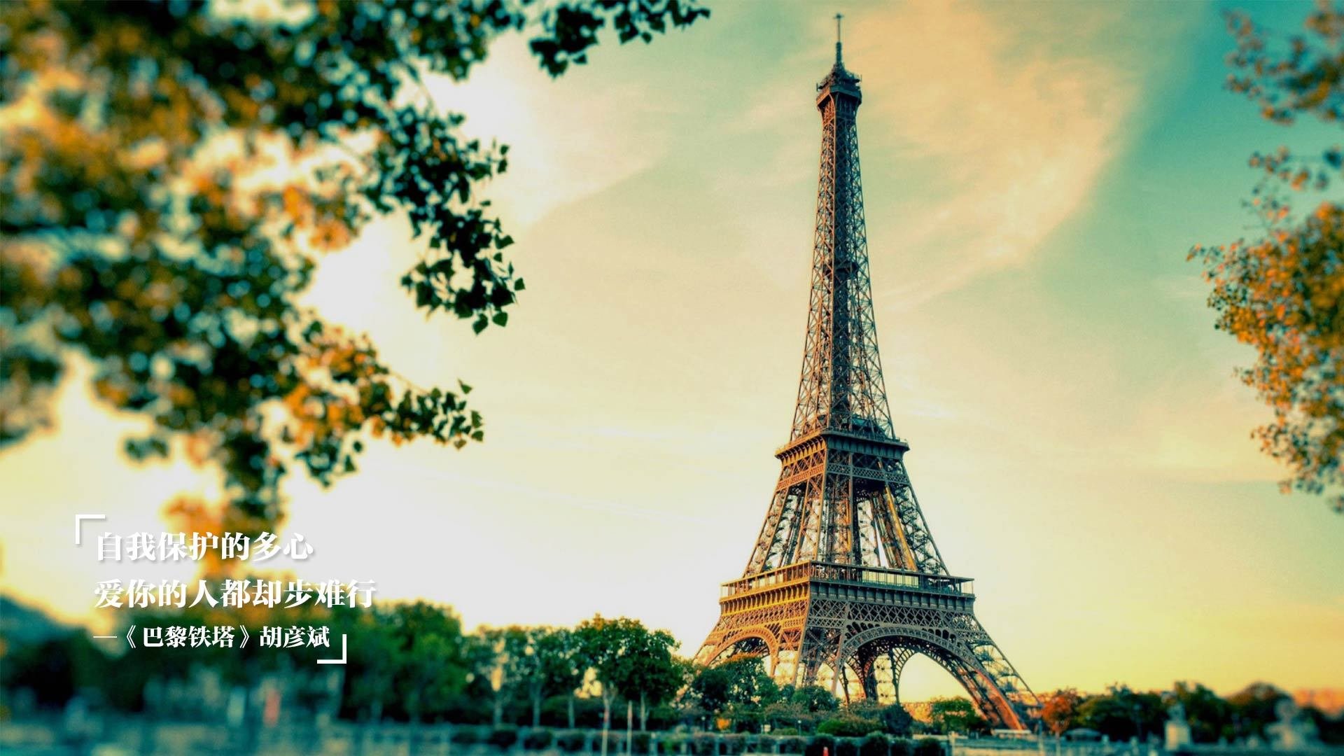 霍勒迪之光，2026世界杯之夜的传奇统治