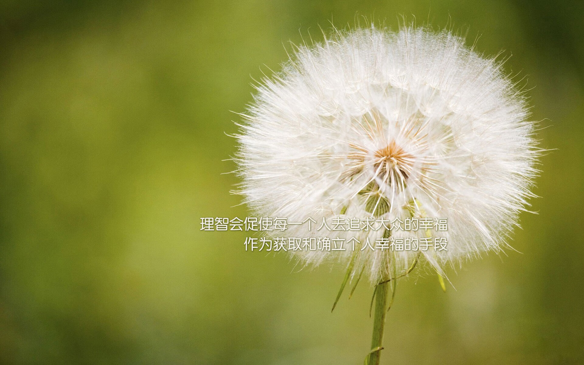 佩德里点燃赛场，希腊横扫土耳其，当体育成为和平年代的神话