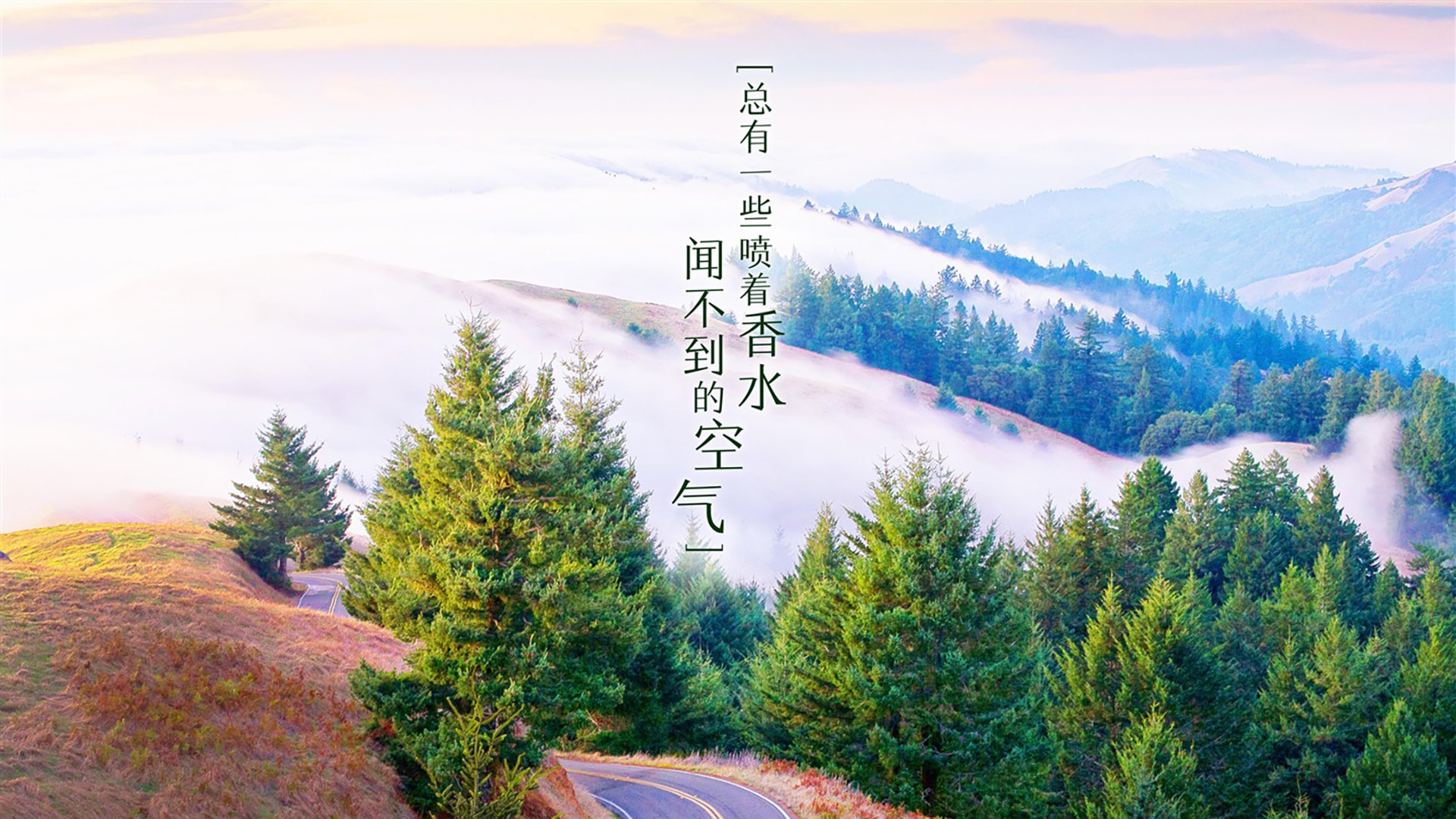 高卢雄鸡折戟南美铁骑,2026世界杯D组焦点战,乌拉圭精准压制法国,莱万化身战术核武导演进攻风暴