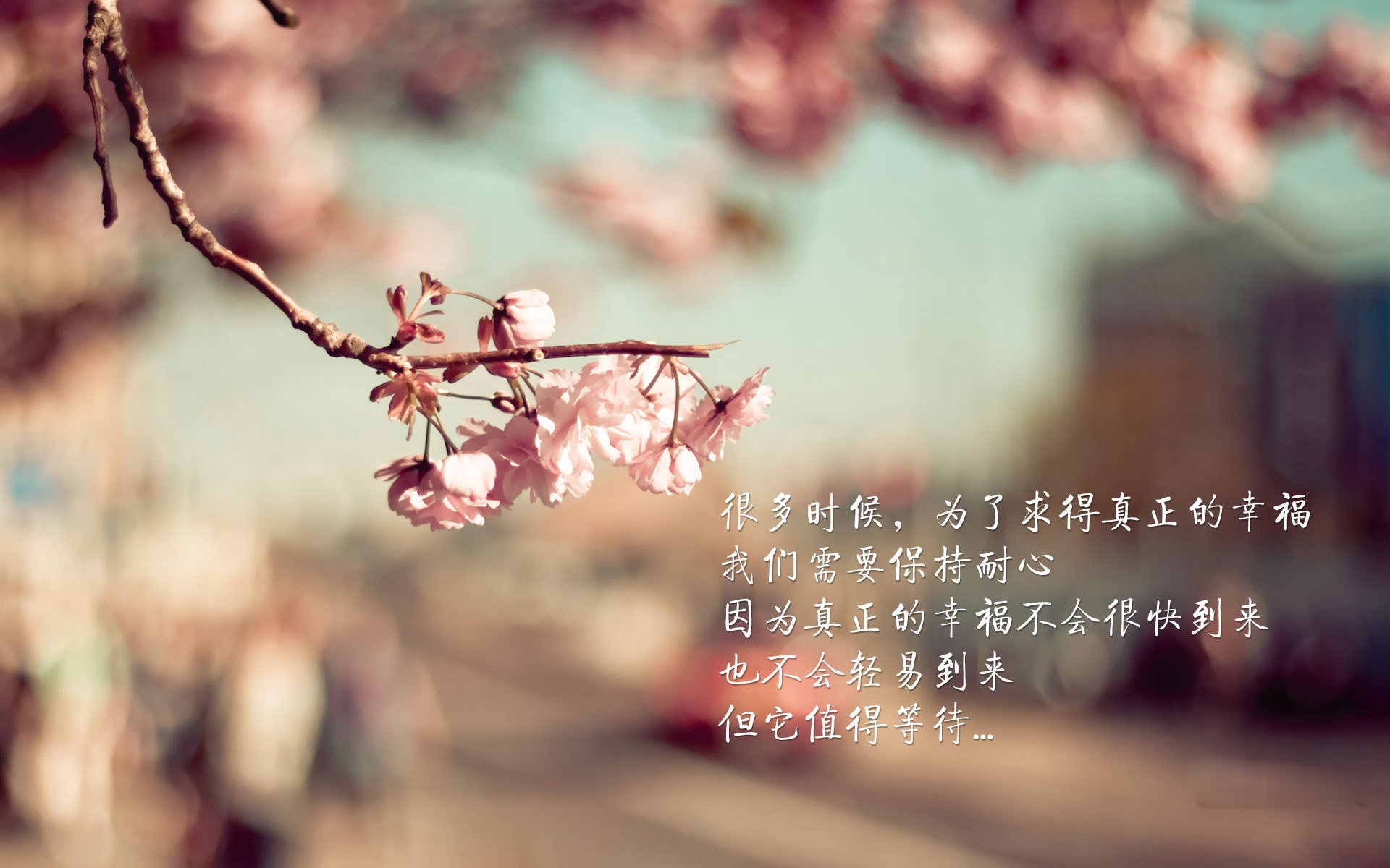 铁血与灵光的交响,C组强强对话,克罗地亚险胜伊朗,穆西亚拉独舞点燃2026世界杯